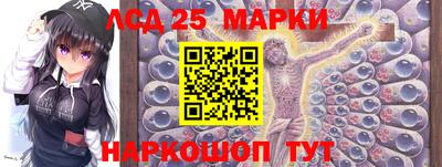 мяу мяу мука Моздок