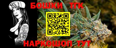 дживик Можга