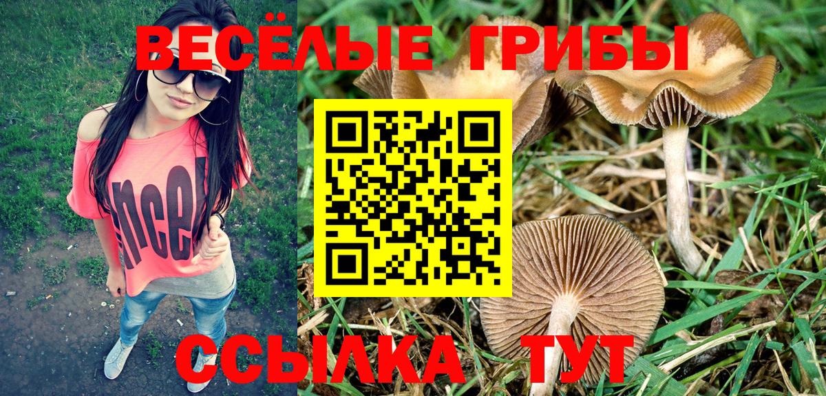 Галлюциногенные грибы мицелий Городец
